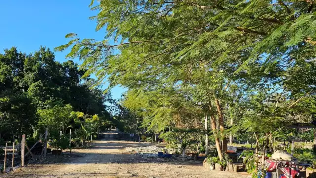 Reclamaron no recibir la misma atención que los habitantes desalojados de las colonias Alfa y Omega y San Judas Tadeo