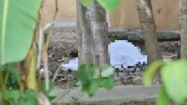 Suponen un posible robo de drogas como la causa