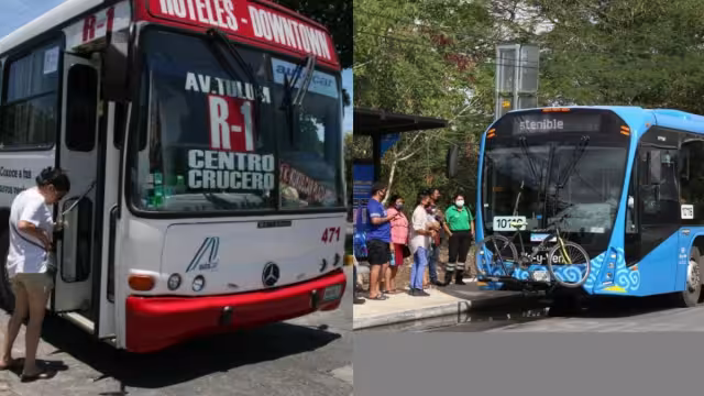 La comparación se realizó a través de TikTok