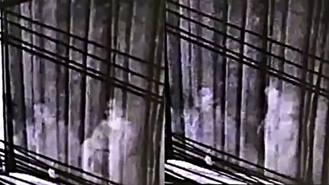 El video fue grabado en 2018, pero fue seis años después cuando se volvió viral