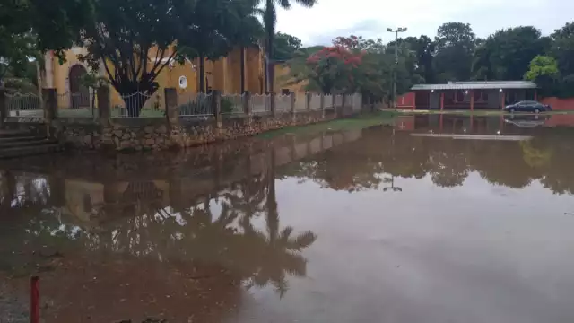 Se prevé que por los encharcamientos haya un brote de mosquitos