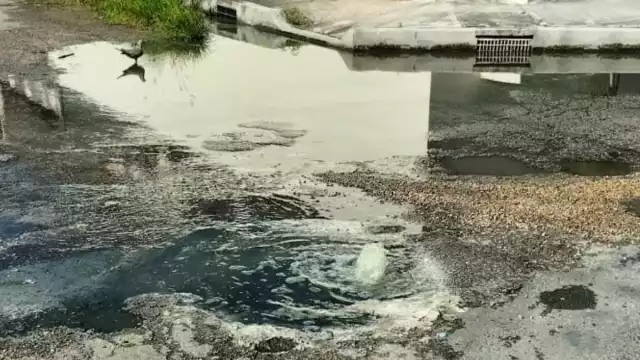 Al ser vertido en el drenaje forma masas con bacterias que obstruyen el paso del agua