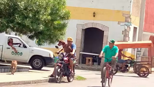 Habitantes señalan que los motociclistas ponen en riesgo la seguridad de sus mascotas