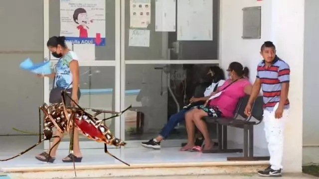 termina el año con 344 casos, entre confirmados y sospechases de dengue en el municipio.