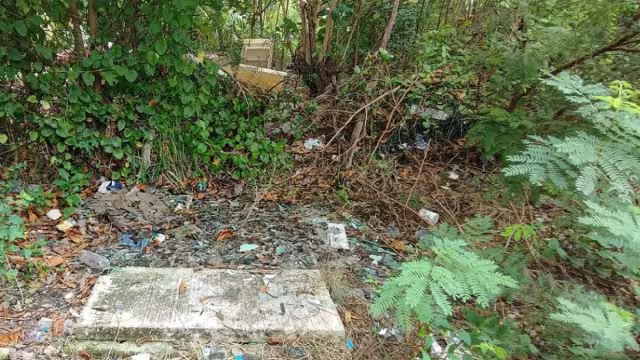 Las sanciones podrían ser de 50 a cinco mil Unidades de Medida y Actualización