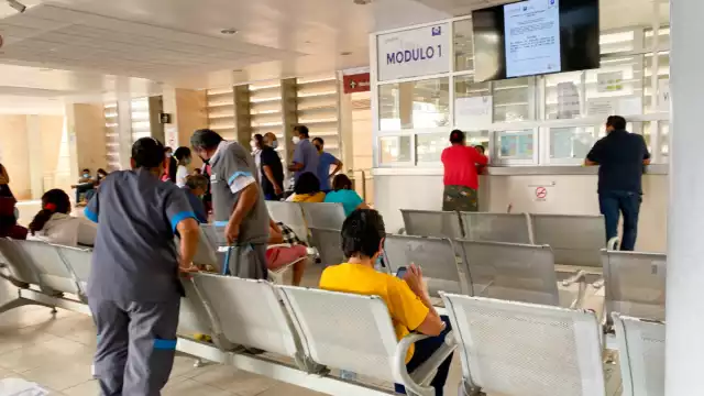 El infectólogo Fernando Salazar señaló que en Yucatán, generalmente hay más mosquitos durante la temporada de lluvias