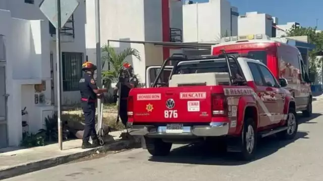 Elementos de rescate de la SSP aseguraron al pitbull en Los Héroes