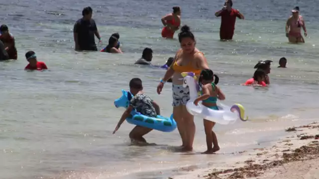 Este 2023 ya se han registrado los dos primeros nidos de tortuga de la temporada