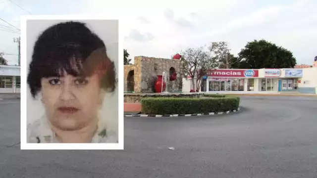 Llevaba con ella a su mascota que es un perro de la raza french poodle con maltés de color gris