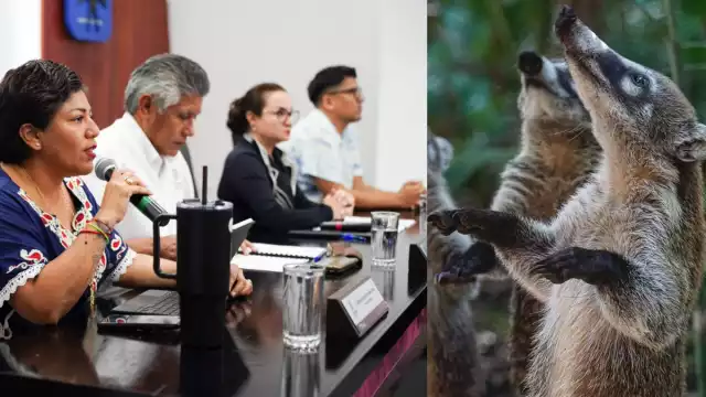 El animal será un símbolo visible de identidad