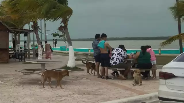 Las familias disfrutan el último domingo de enero en la playa