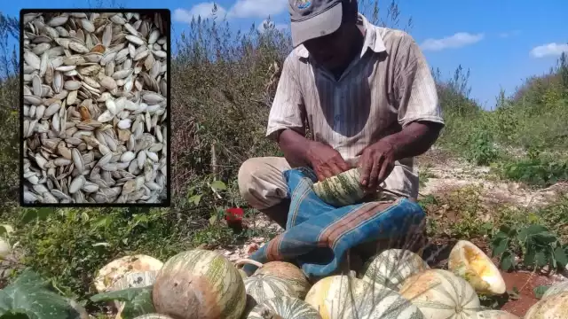 Foto: Fernando Kantún