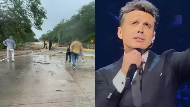 Usuarios aprovecharon para reclamarle a Luis Miguel por su falta de apoyo en otros huracanes que impactaron a Guerrero