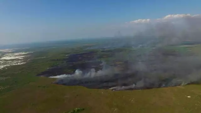 En el reporte estatal aún no figuran los municipios de Seybaplaya y Dzitbalché