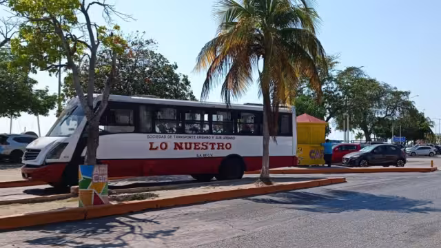 La excusa del gobierno municipal para implementar este proyecto es que los autobuses actuales no cubren todas las rutas