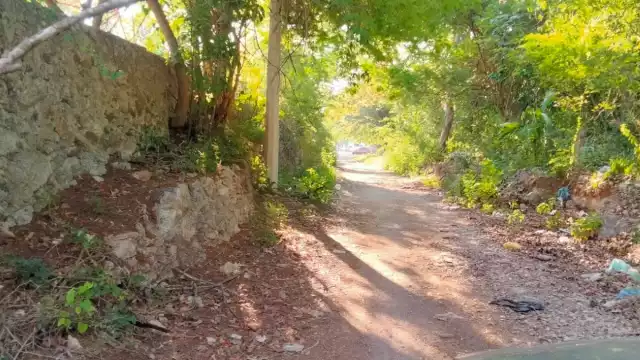 Otro de los dolores de cabeza de la comunidad es la falta de alumbrado público
