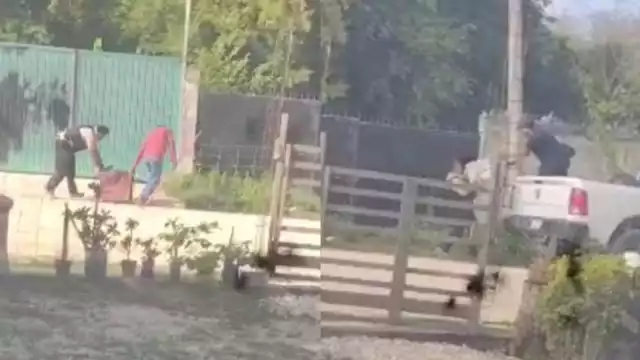 Los agentes se llevaron hasta los perros