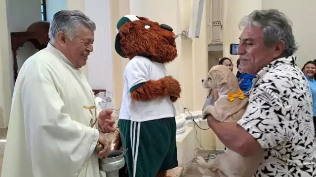 La romería incluyó perros, gatos, tortugas, peces, conejos y una gran variedad de plantas