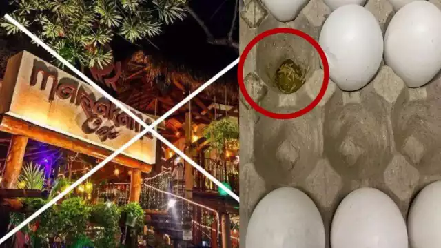 En las fotografías se muestra el tratamiento que se le da a la comida, la cual es reciclada para los bufetes