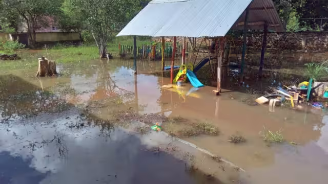 Debido a las fuertes lluvias que se están presentando, 100 hectáreas de maíz están en riesgo