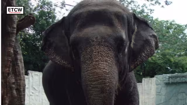 Tenía casi 50 años. Foto: Especial