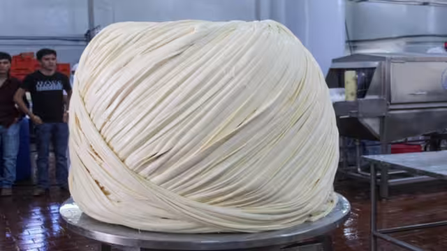 El anterior récord lo tiene Chiapas con un queso de 558 kilos