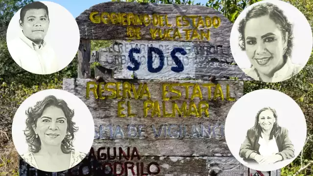 Autoridades de los tres niveles de Gobierno han solapado los daños a la flora y fauna de la zona costera en el Norponiente