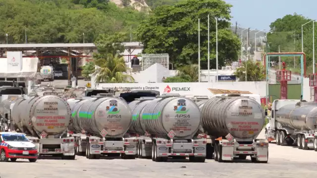 Detalló que en el 2022 proporcionaron alrededor de 105 asesorías y 125 en procesos penales federales