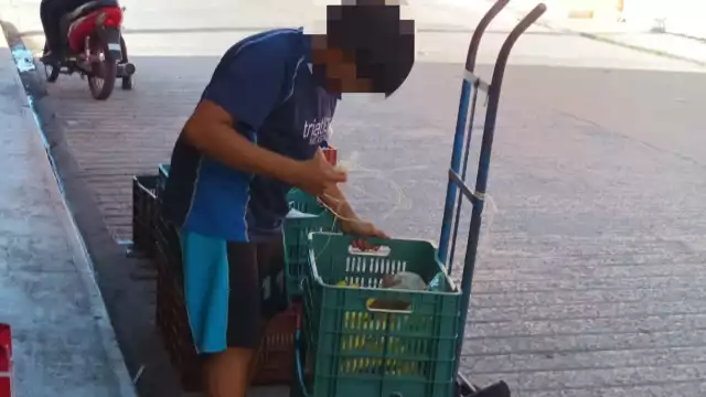 Pobladores mencionaron que en los últimos años se ha podido ver a menores de edad trabajando