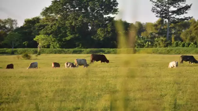 El Gobierno Federal tuvo que intervenir para brindar apoyos a los hombres del campo