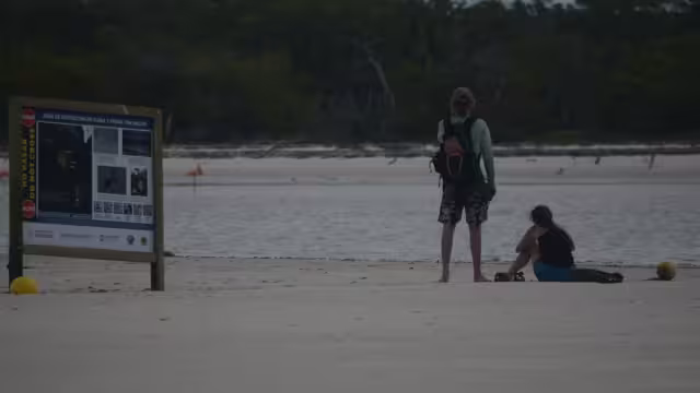 Semarnat niega permisos para desarrollos hoteleros en Holbox
