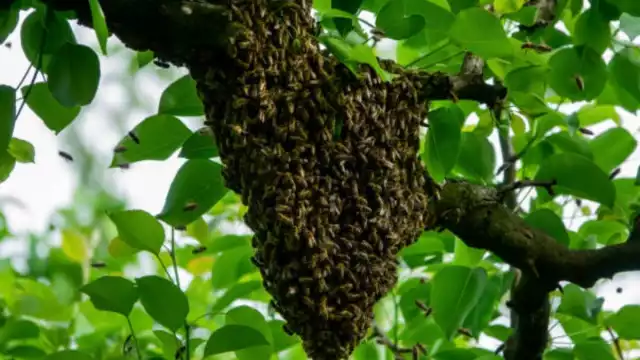 Las personas que se encontraban el lugar y se percataron del hecho solicitaron el servicio de emergencias