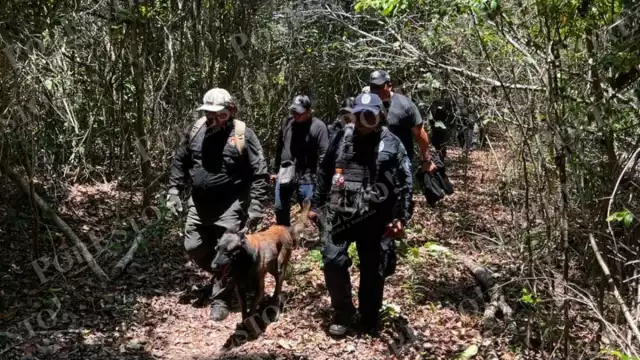 Hoy se sabe que la menor y sus tres hermanos están a disposición del DIF