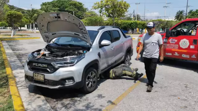 El conductor del auto decidió llamar a los bomberos para no lastimar al pequeño felino