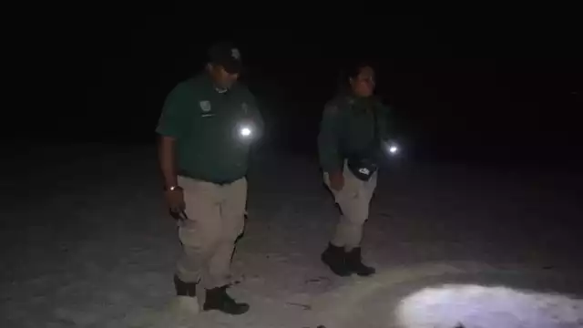 Integrantes de la Policía Ecológica empezaron la búsqueda del joven