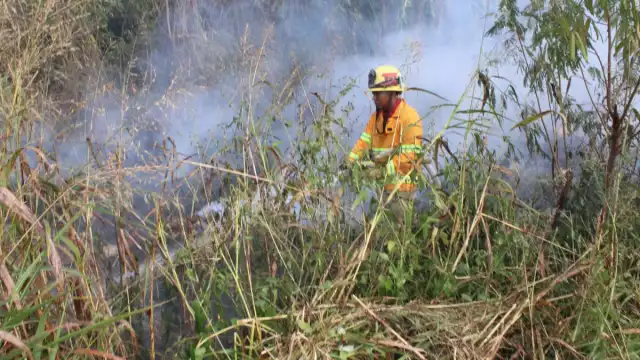 Los incendios son apagados por los mismos ejidatarios