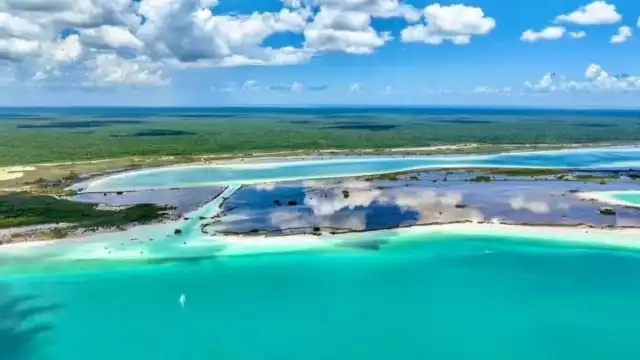 La investigadora expuso que nuevamente, pseudoecologistas buscan Hábitat Crítico para Bacalar