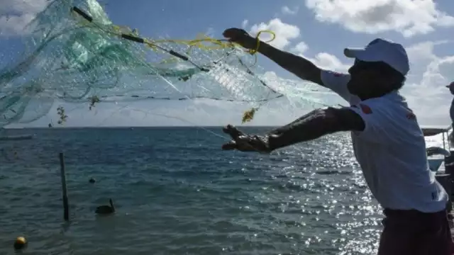 Para los pescadores es imposible atender la demanda en temporadas altas