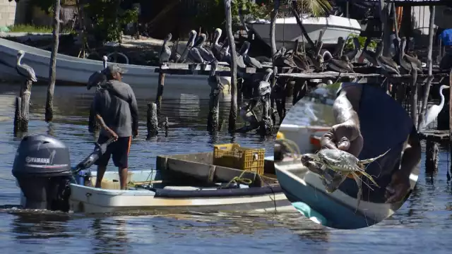 Guardianes de la Naturaleza considera que ninguna autoridad gubernamental pretende solucionarlo
