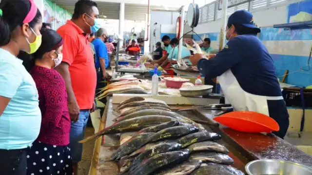 Es importante que los cancunenses conozcan los riesgos que conlleva la ingestión de mariscos crudos, especialmente las ostras