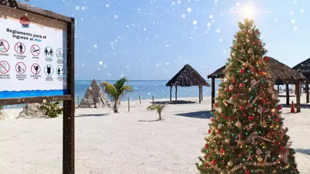 Playa Bonita realizará el Encendido del Árbol Navideño el sábado 6 de diciembre.