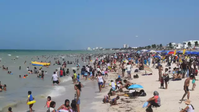 Las familias ocuparon un lugar en la playa o en las palapas para disfrutar del día