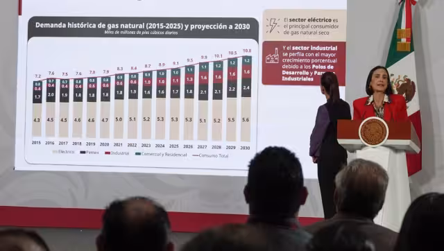 Luz Elena González Escobar, secretaria de Energía