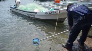 Presidenta Sheinbaum responde por derrame en el Golfo de México: refuerzan alertas, investigación y contención