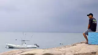 Qué es la erosión costera y cómo afecta a los ecosistemas