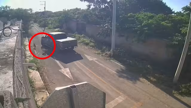 Continúan los casos de crueldad animal en Mérida