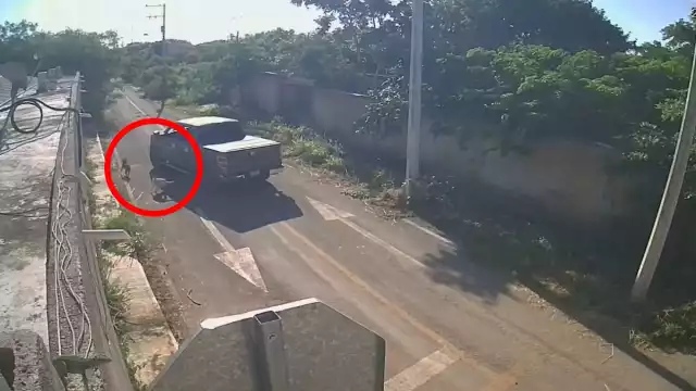 Continúan los casos de crueldad animal en Mérida