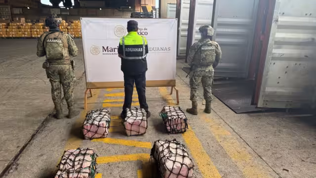 El Gabinete de Seguridad señaló que este decomiso representa una afectación económica estimada en más de 29 millones de pesos