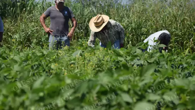 El organismo destacó que sus propuestas fueron consideradas en el diseño del proyecto de la Ley Nacional de Aguas