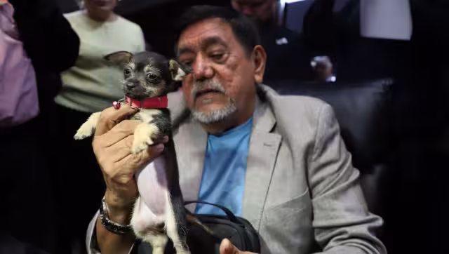 Félix Salgado Macedonio, senador de Morena